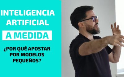 Inteligencia Artificial a Medida. ¿Por qué apostar por pequeños modelos?